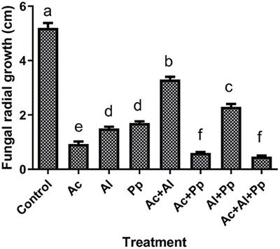 A Bacterial Consortium and Synthetic Fertilizer Based Biocontrol Approach Against Potato Rot Disease “Neocosmospora rubicola”